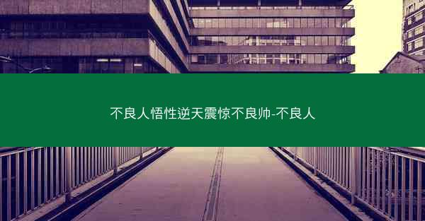 不良人悟性逆天震惊不良帅-不良人
