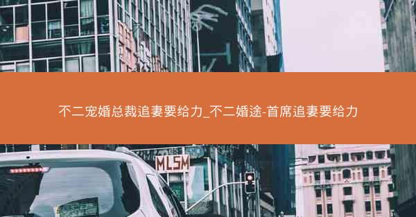 不二宠婚总裁追妻要给力_不二婚途-首席追妻要给力