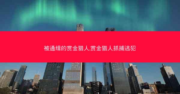 被通缉的赏金猎人,赏金猎人抓捕逃犯 被通缉的赏金猎人,赏金猎人抓捕逃犯