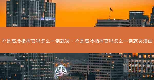 不是高冷指挥官吗怎么一亲就哭、不是高冷指挥官吗怎么一亲就哭漫画