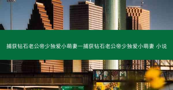 捕获钻石老公帝少独爱小萌妻—捕获钻石老公帝少独爱小萌妻 小说