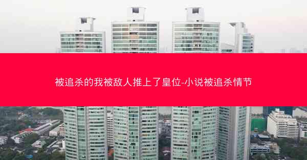 被追杀的我被敌人推上了皇位-小说被追杀情节
