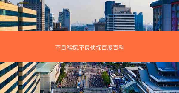 不良笔探;不良侦探百度百科