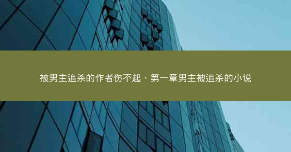 被男主追杀的作者伤不起、第一章男主被追杀的小说