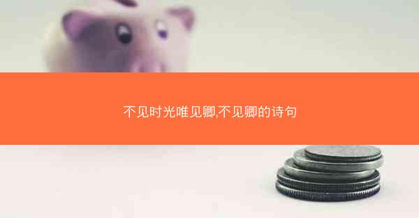 不见时光唯见卿,不见卿的诗句