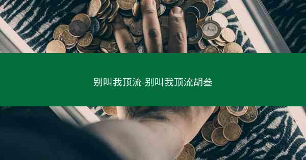 别叫我顶流-别叫我顶流胡叁