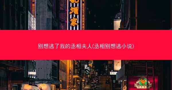 别想逃了我的丞相夫人(丞相别想逃小说)