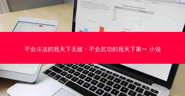 不会斗法的我天下无敌、不会武功的我天下第一 小说