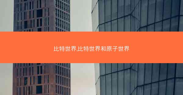 比特世界,比特世界和原子世界