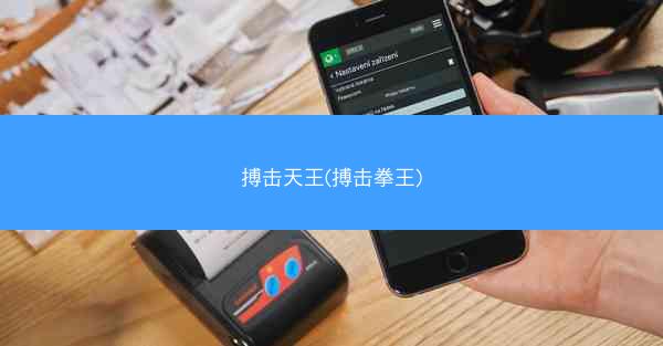 搏击天王(搏击拳王)