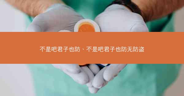不是吧君子也防、不是吧君子也防无防盗