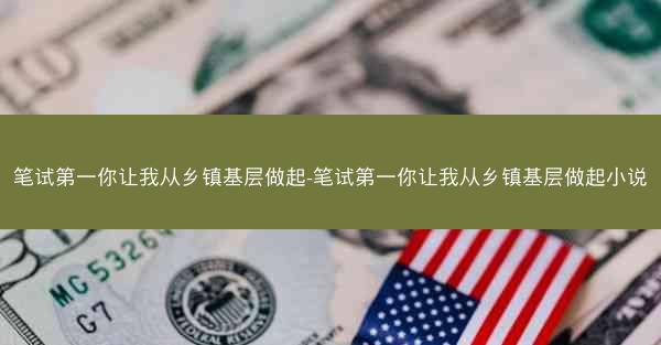 笔试第一你让我从乡镇基层做起-笔试第一你让我从乡镇基层做起小说