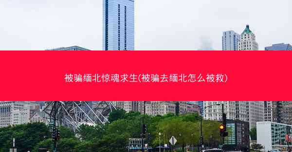 被骗缅北惊魂求生(被骗去缅北怎么被救)