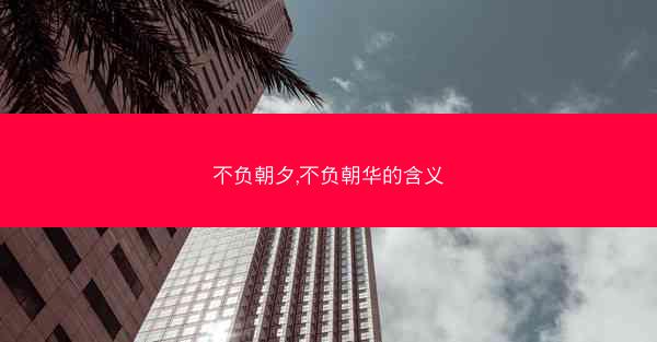 不负朝夕,不负朝华的含义