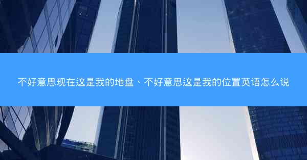 不好意思现在这是我的地盘、不好意思这是我的位置英语怎么说