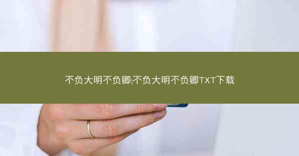 不负大明不负卿;不负大明不负卿TXT下载
