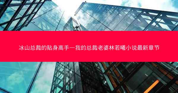 冰山总裁的贴身高手—我的总裁老婆林若曦小说最新章节