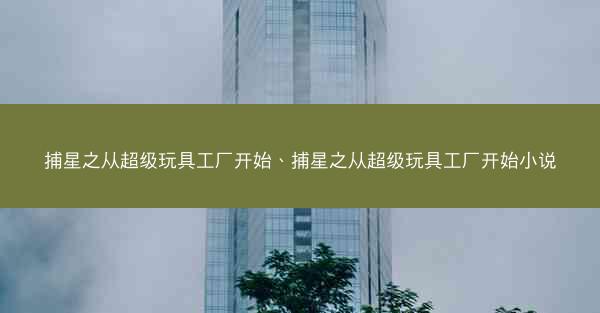 捕星之从超级玩具工厂开始、捕星之从超级玩具工厂开始小说