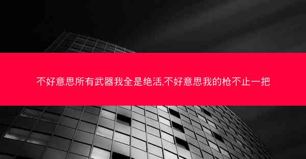 不好意思所有武器我全是绝活,不好意思我的枪不止一把