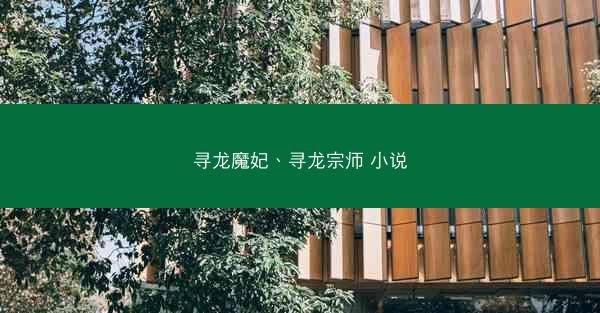 寻龙魔妃、寻龙宗师 小说
