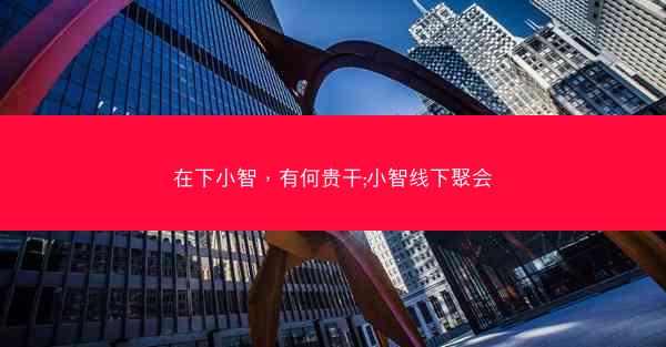 在下小智，有何贵干;小智线下聚会
