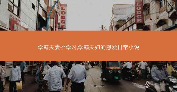 学霸夫妻不学习,学霸夫妇的恩爱日常小说