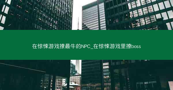 在惊悚游戏撩最牛的NPC_在惊悚游戏里撩boss