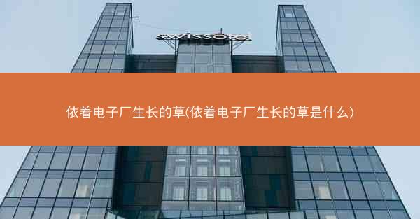 依着电子厂生长的草(依着电子厂生长的草是什么)