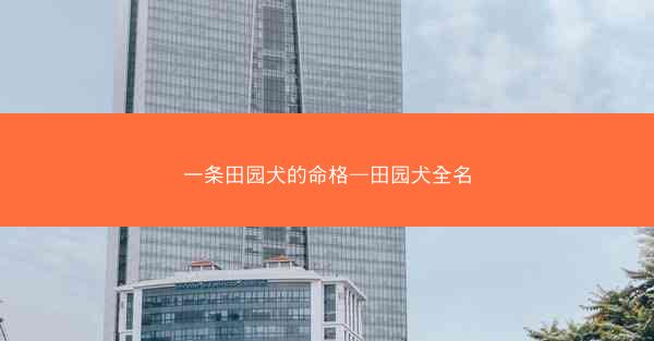 一条田园犬的命格—田园犬全名