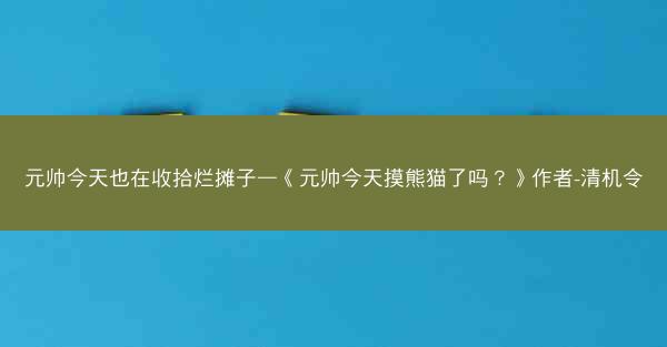 元帅今天也在收拾烂摊子—《元帅今天摸熊猫了吗？》作者-清机令
