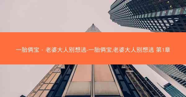 一胎俩宝，老婆大人别想逃-一胎俩宝,老婆大人别想逃 第1章