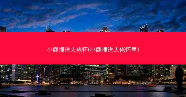 小鹿撞进大佬怀(小鹿撞进大佬怀里)