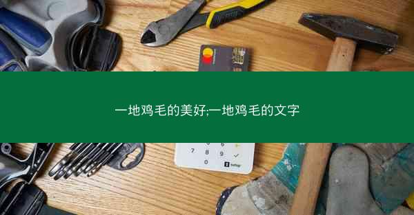 一地鸡毛的美好;一地鸡毛的文字