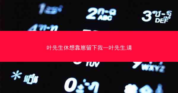 叶先生休想靠崽留下我—叶先生,请