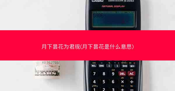 月下昙花为君现(月下昙花是什么意思)
