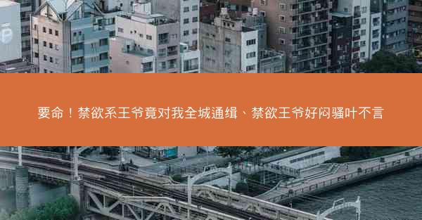 要命！禁欲系王爷竟对我全城通缉、禁欲王爷好闷骚叶不言