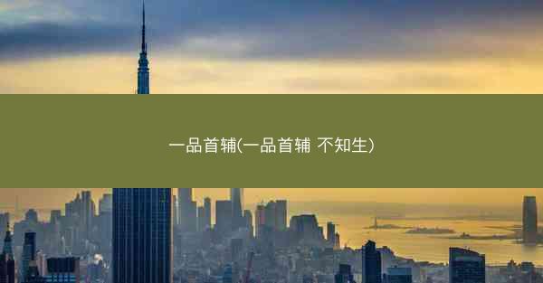 一品首辅(一品首辅 不知生)