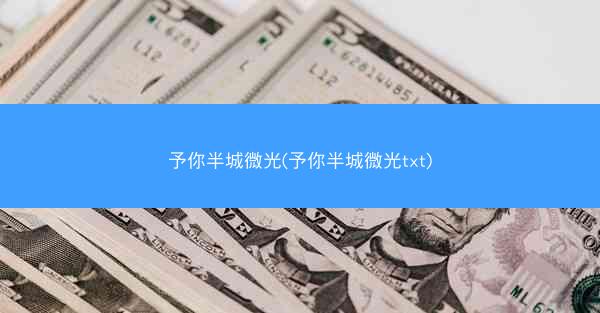 予你半城微光(予你半城微光txt)
