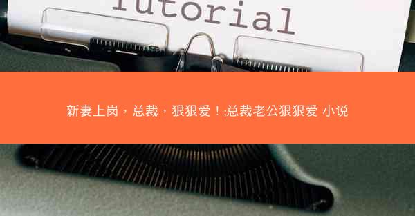 新妻上岗，总裁，狠狠爱！;总裁老公狠狠爱 小说