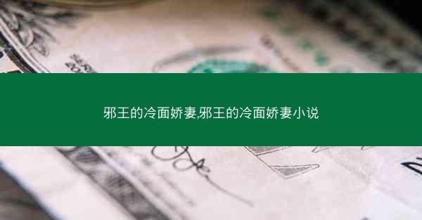 邪王的冷面娇妻,邪王的冷面娇妻小说