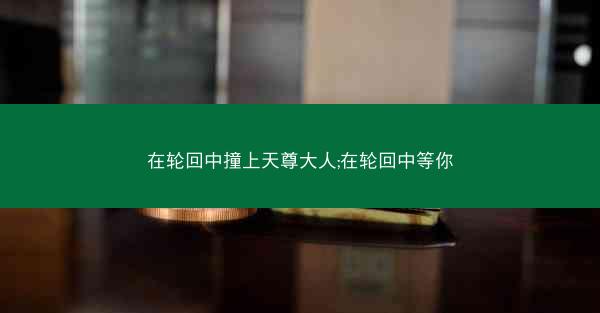 在轮回中撞上天尊大人;在轮回中等你