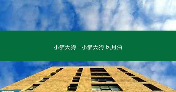 小猫大狗—小猫大狗 风月泊
