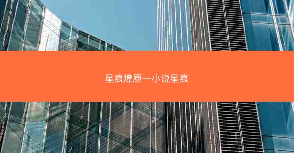 星痕燎原—小说星痕
