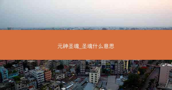 元神圣魂_圣魂什么意思